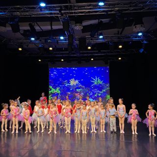 IMG-bbca801cfe971e19f2e2ff6a4774a386-V